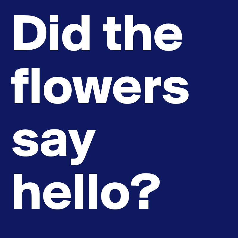 Did the flowers say hello? 