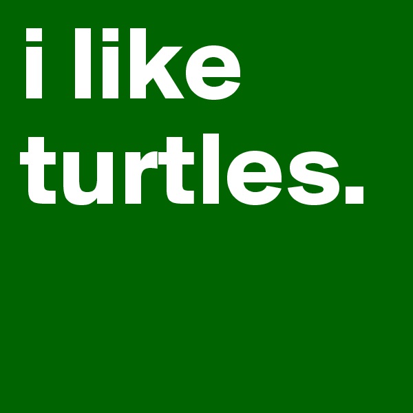 i like turtles.