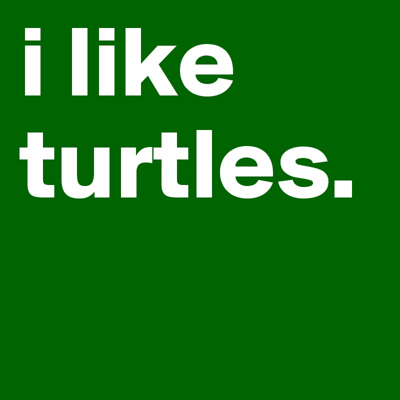 i like turtles.