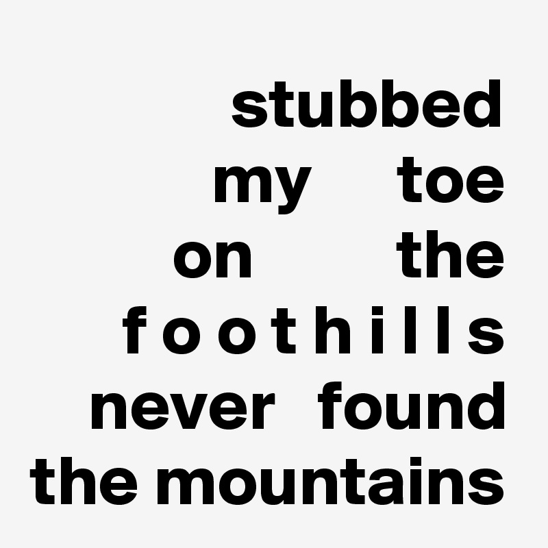 stubbed
my      toe
on          the
f o o t h i l l s
never   found the mountains