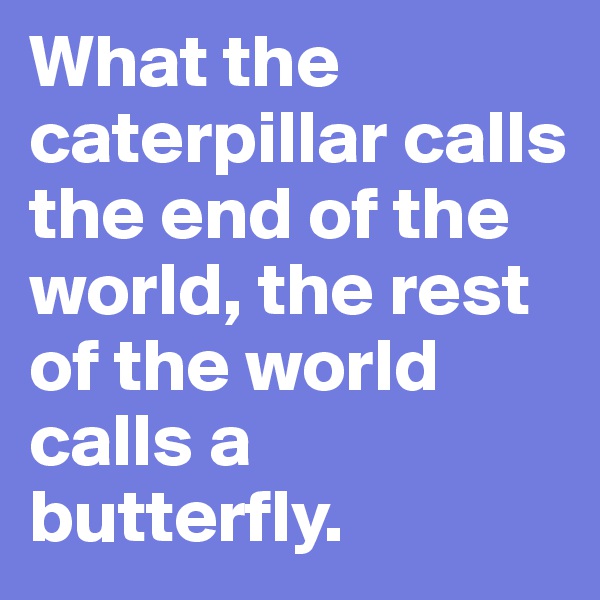 What the caterpillar calls the end of the world, the rest of the world calls a butterfly.