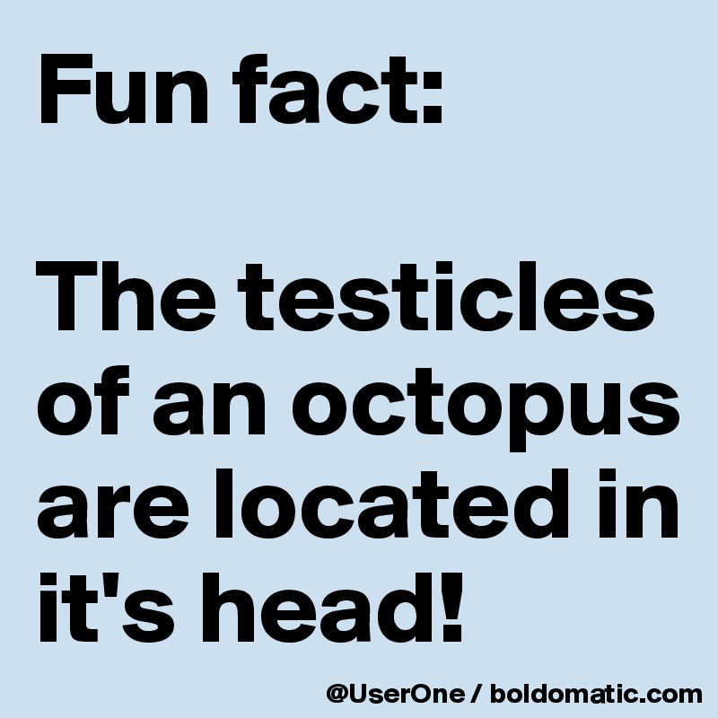 Fun fact:

The testicles of an octopus are located in it's head!