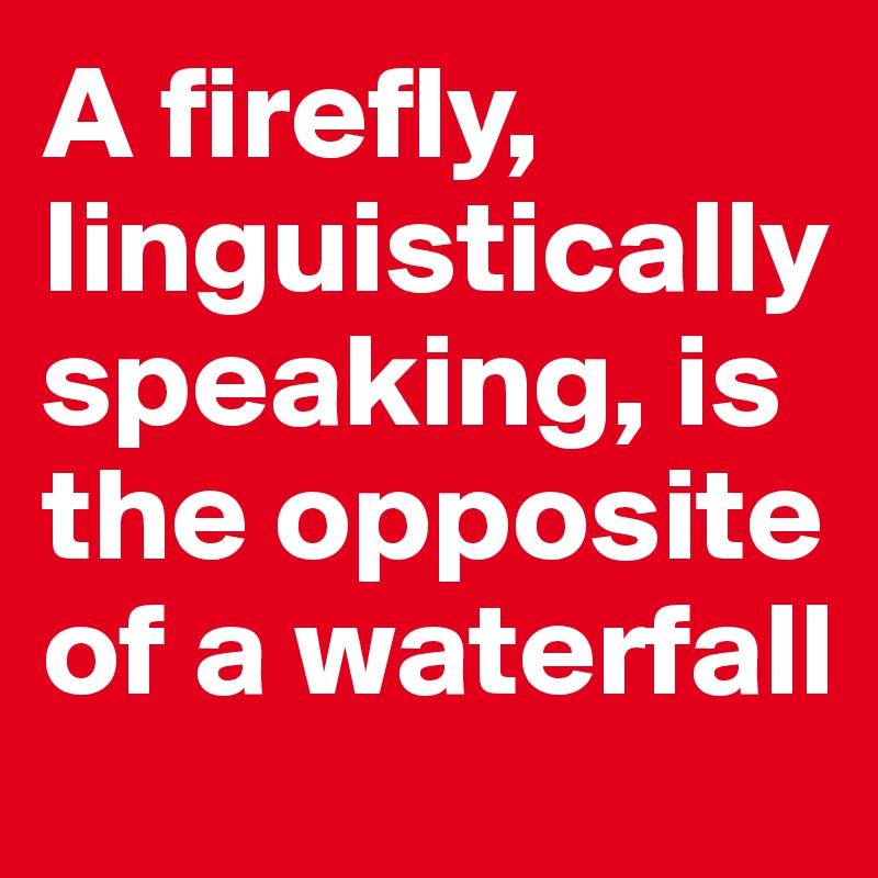 a-firefly-linguistically-speaking-is-the-opposite-of-a-waterfall