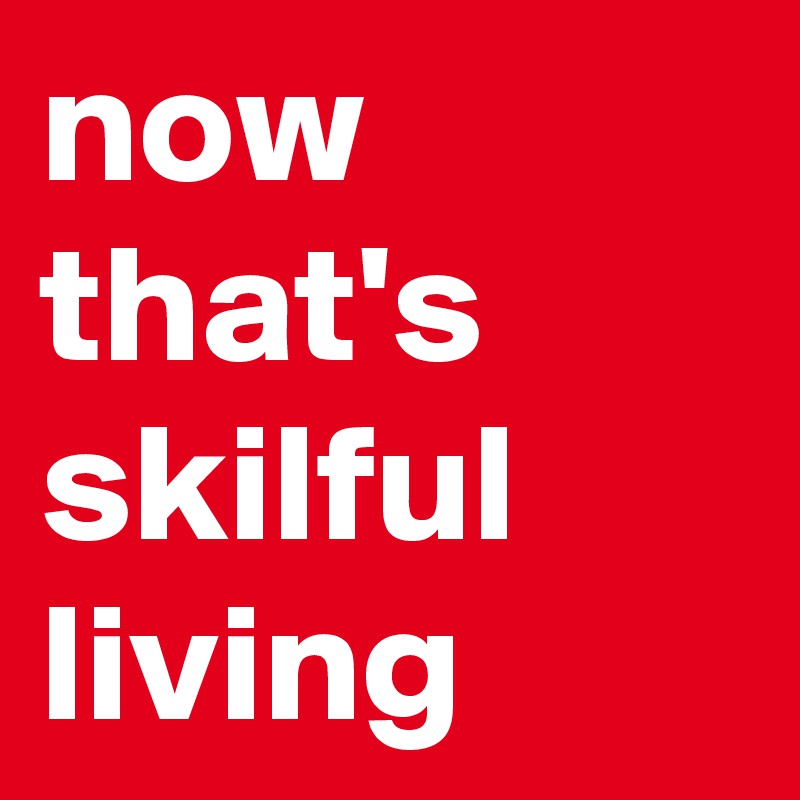 now that's skilful living
