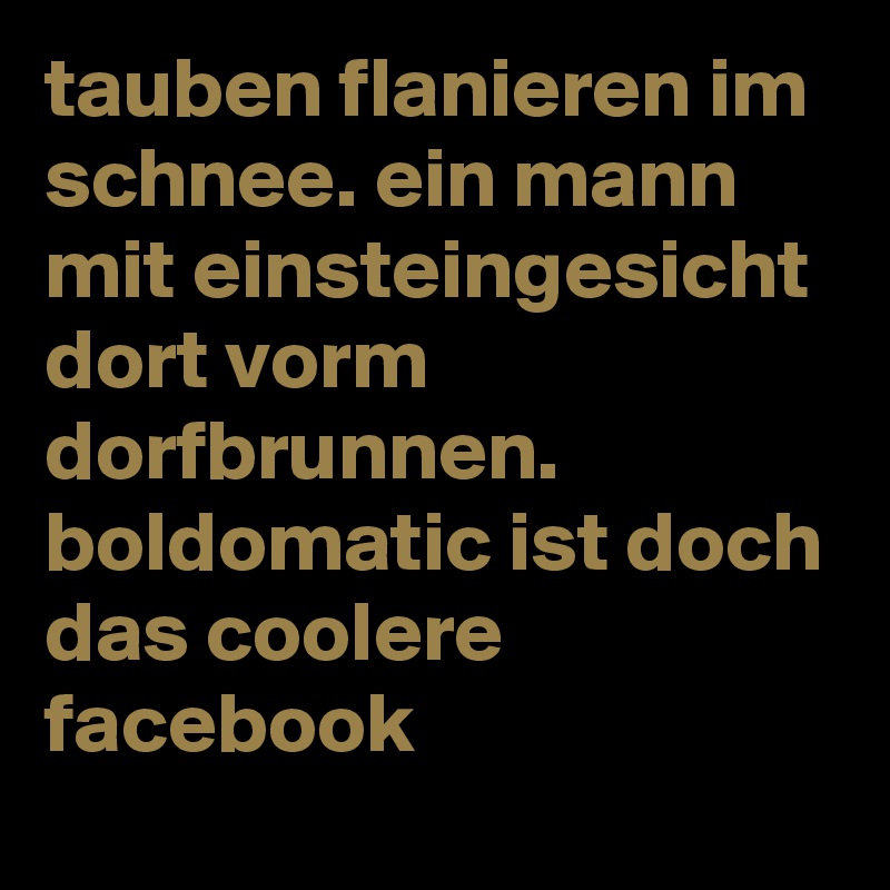 tauben flanieren im schnee. ein mann mit einsteingesicht dort vorm dorfbrunnen. boldomatic ist doch das coolere facebook