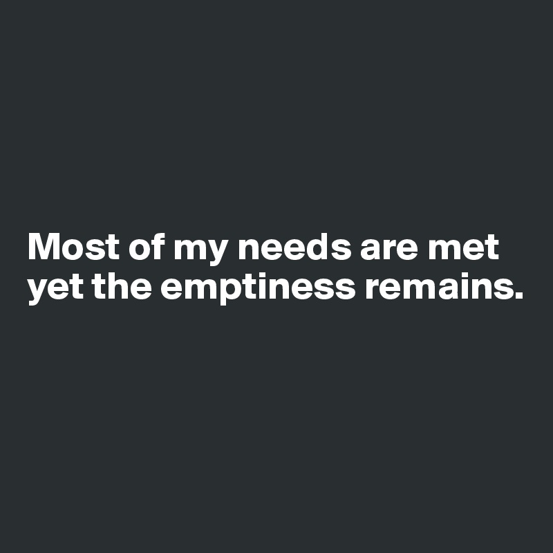 




Most of my needs are met yet the emptiness remains.




