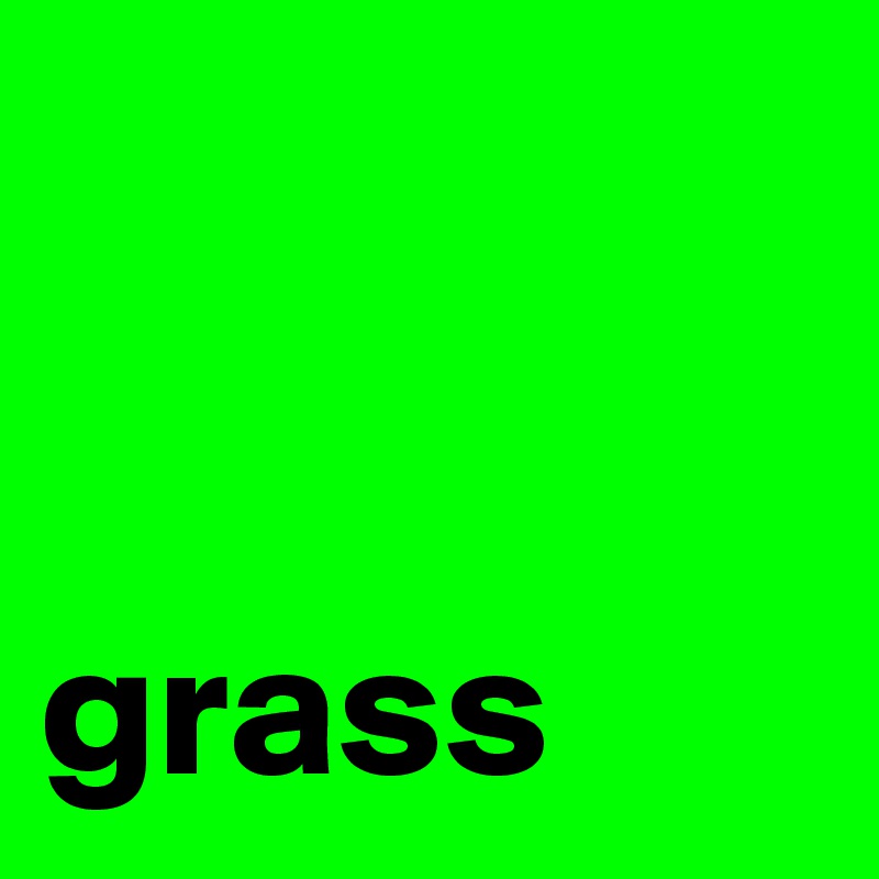


grass