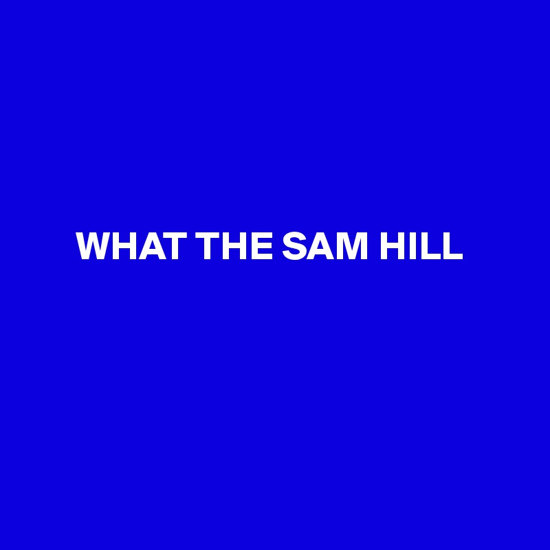 




      WHAT THE SAM HILL





