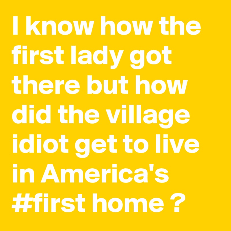 I know how the first lady got there but how did the village idiot get to live in America's #first home ?