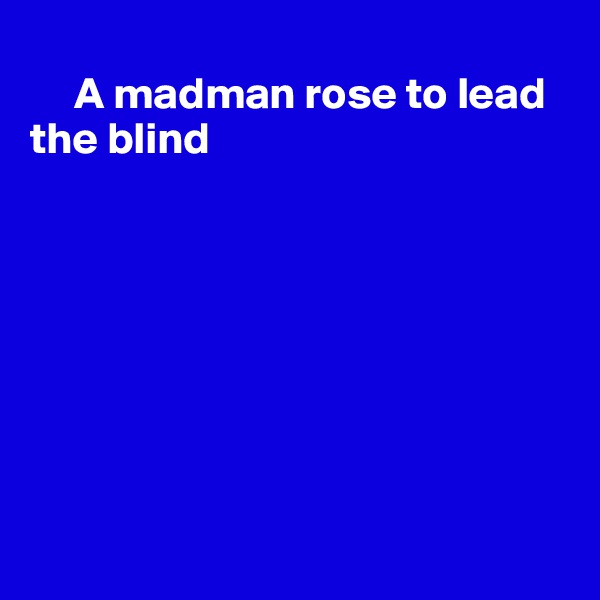 
     A madman rose to lead the blind








