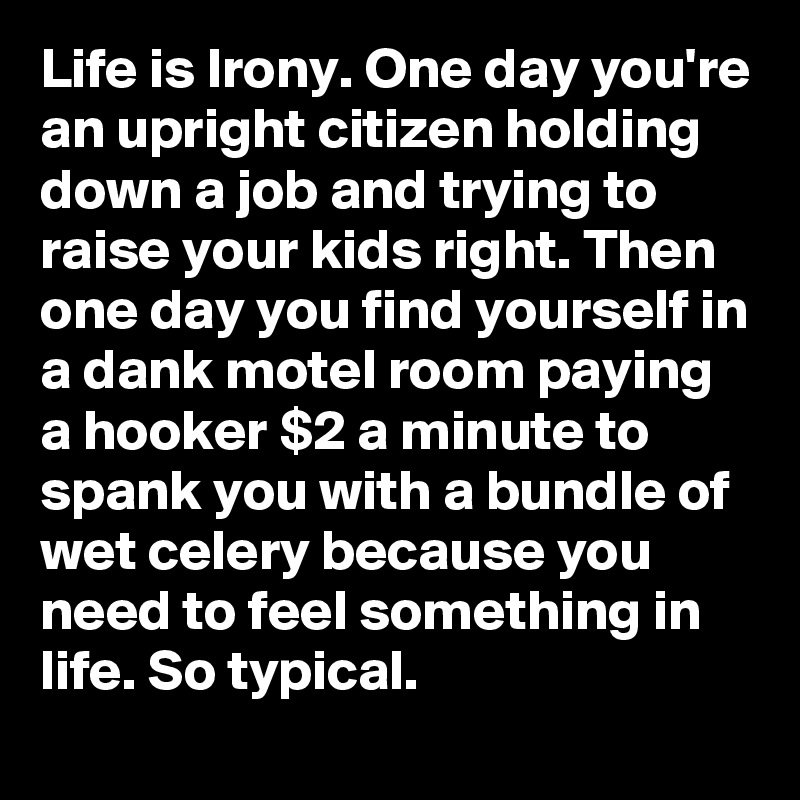 Life is Irony. One day you're an upright citizen holding down a job and trying to raise your kids right. Then one day you find yourself in a dank motel room paying a hooker $2 a minute to spank you with a bundle of wet celery because you need to feel something in life. So typical.