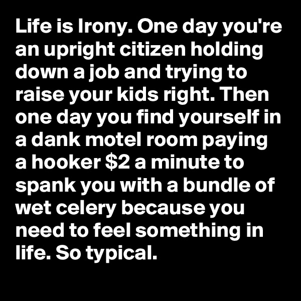 Life is Irony. One day you're an upright citizen holding down a job and trying to raise your kids right. Then one day you find yourself in a dank motel room paying a hooker $2 a minute to spank you with a bundle of wet celery because you need to feel something in life. So typical.