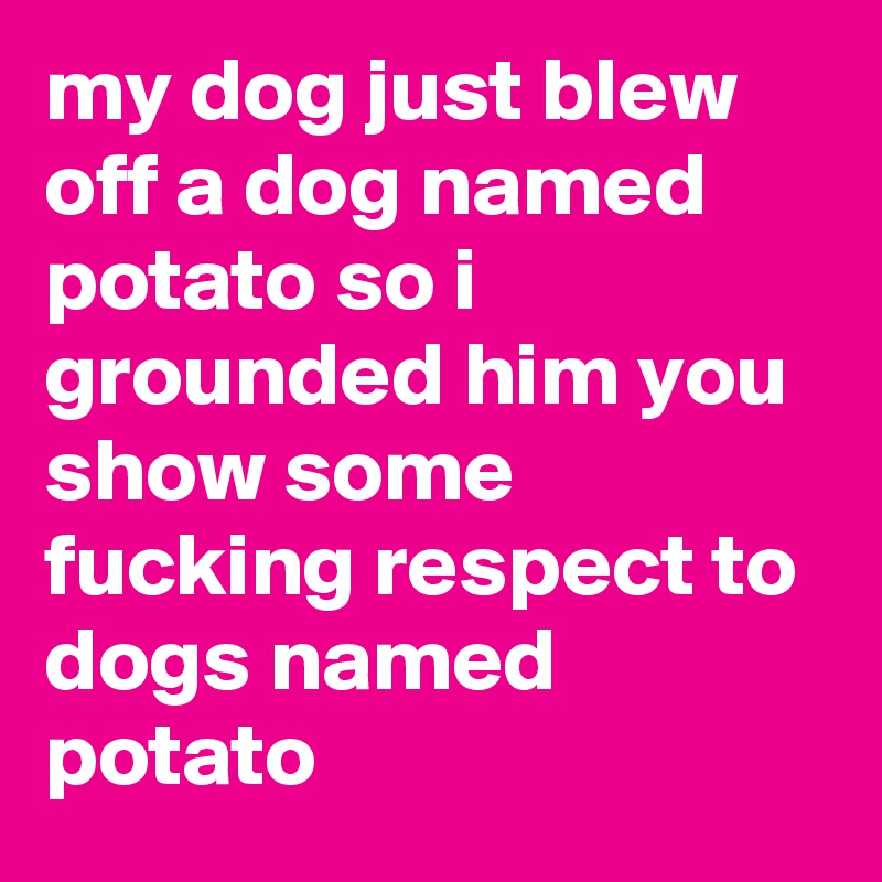 my dog just blew off a dog named potato so i grounded him you show some fucking respect to dogs named potato