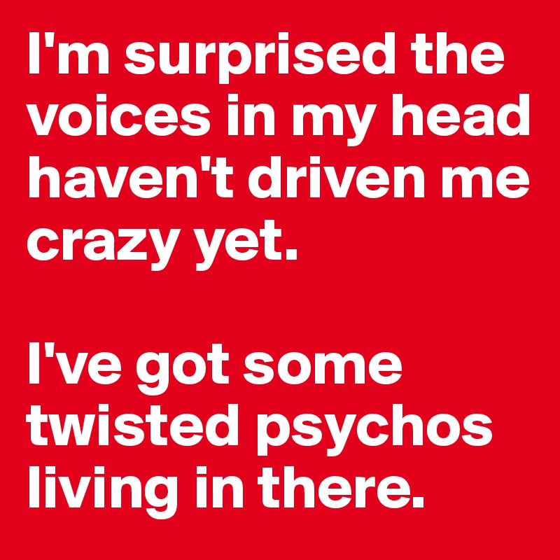 I'm surprised the voices in my head haven't driven me crazy yet. 

I've got some twisted psychos living in there.