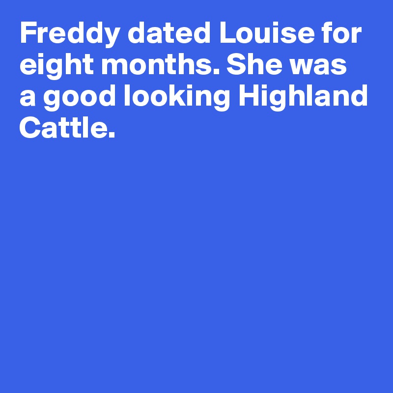 Freddy dated Louise for eight months. She was 
a good looking Highland Cattle. 






