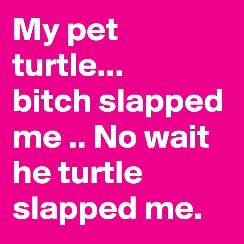 My pet turtle...
bitch slapped me .. No wait he turtle slapped me.