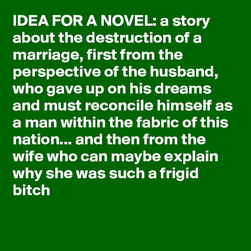 IDEA FOR A NOVEL: a story about the destruction of a marriage, first from the perspective of the husband, who gave up on his dreams and must reconcile himself as a man within the fabric of this nation... and then from the wife who can maybe explain why she was such a frigid bitch