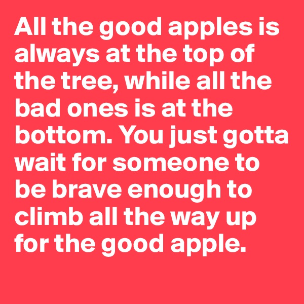 All the good apples is always at the top of the tree, while all the bad ones is at the bottom. You just gotta wait for someone to be brave enough to climb all the way up for the good apple.