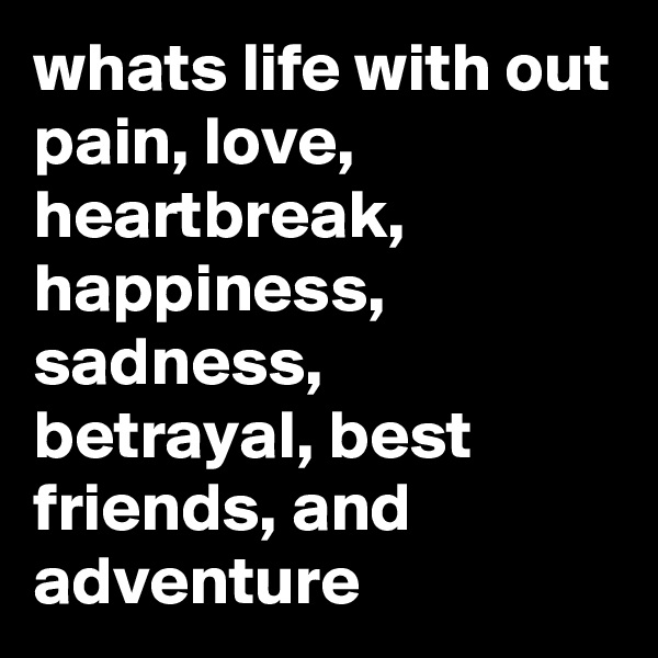 whats life with out pain, love, heartbreak, happiness, sadness, betrayal, best friends, and adventure