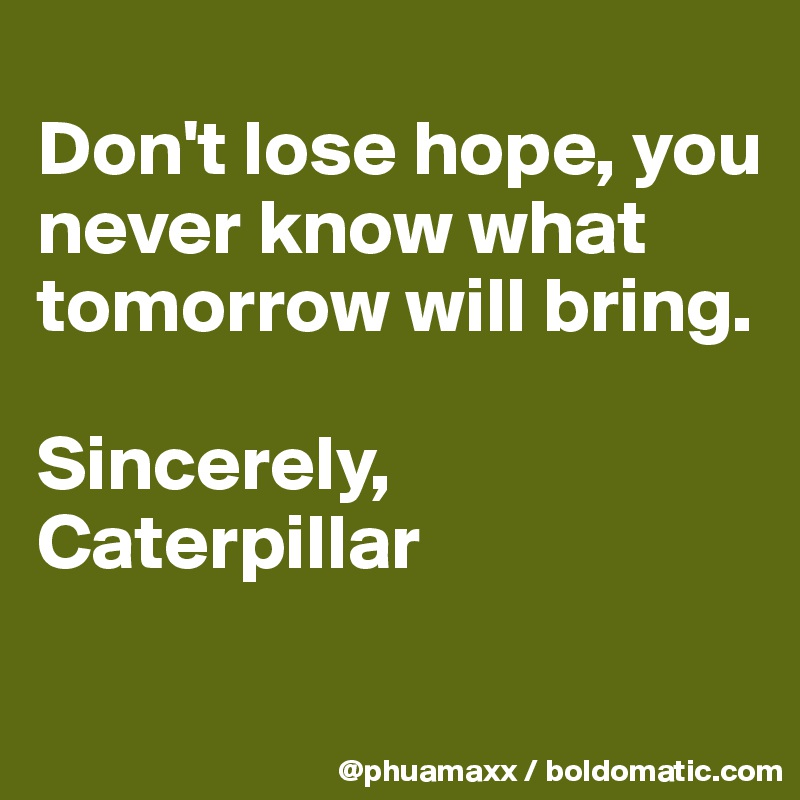 
Don't lose hope, you never know what tomorrow will bring.

Sincerely,
Caterpillar
