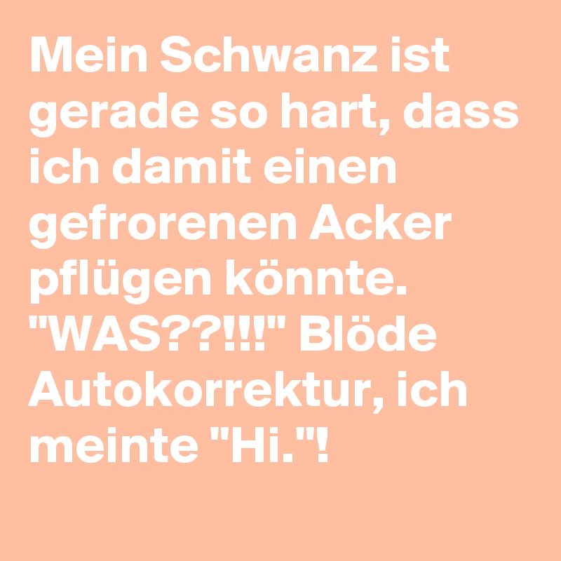 Mein Schwanz ist gerade so hart, dass ich damit einen gefrorenen Acker pflügen könnte. "WAS??!!!" Blöde Autokorrektur, ich meinte "Hi."!