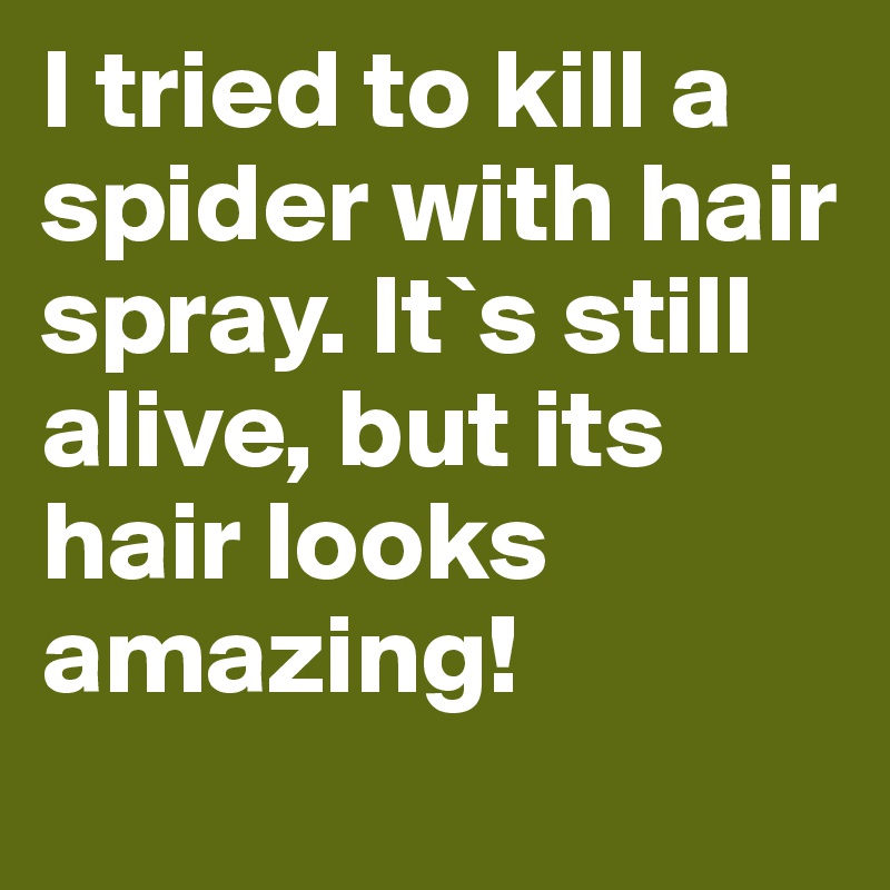 I tried to kill a spider with hair spray. It`s still alive, but its hair looks amazing! 
