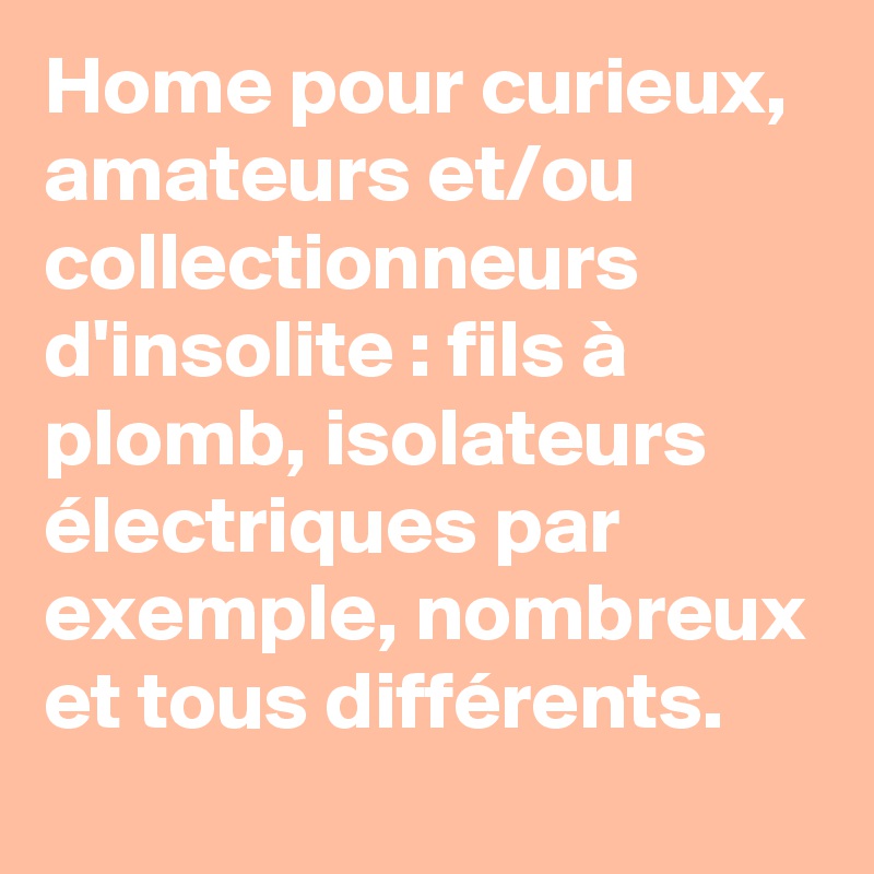 Home pour curieux, amateurs et/ou collectionneurs d'insolite : fils à plomb, isolateurs électriques par exemple, nombreux et tous différents.