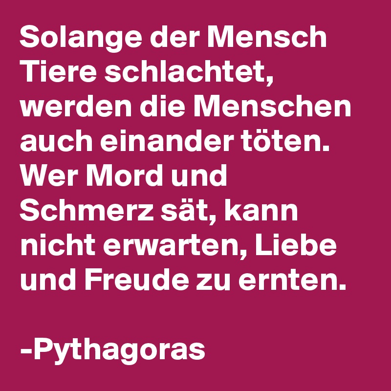 Solange der Mensch Tiere schlachtet, werden die Menschen auch einander töten. Wer Mord und Schmerz sät, kann nicht erwarten, Liebe und Freude zu ernten.

-Pythagoras