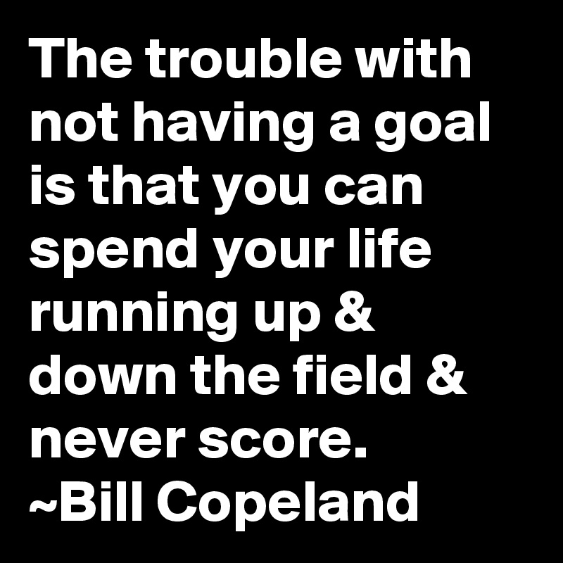 The trouble with not having a goal is that you can spend your life running up & down the field & never score.
~Bill Copeland