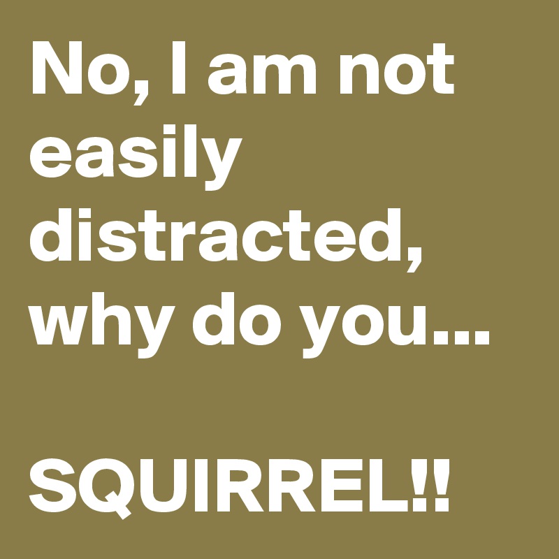 No, I am not easily distracted, why do you... 

SQUIRREL!!