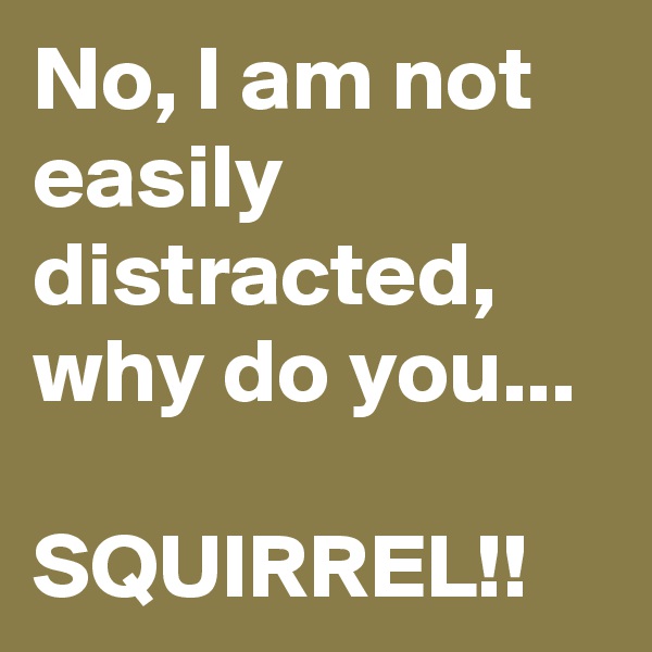 No, I am not easily distracted, why do you... 

SQUIRREL!!