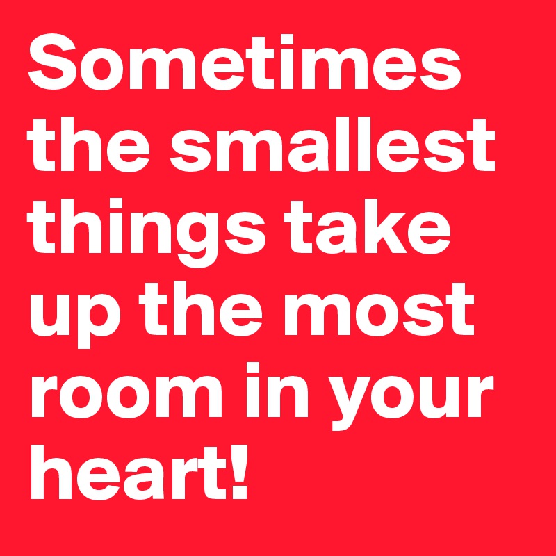 Sometimes 
the smallest things take up the most room in your heart!