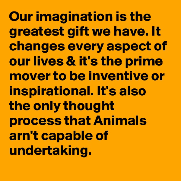 Our imagination is the greatest gift we have. It changes every aspect of our lives & it's the prime mover to be inventive or inspirational. It's also the only thought process that Animals arn't capable of undertaking.
