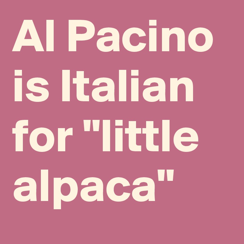 Al Pacino is Italian for "little alpaca"