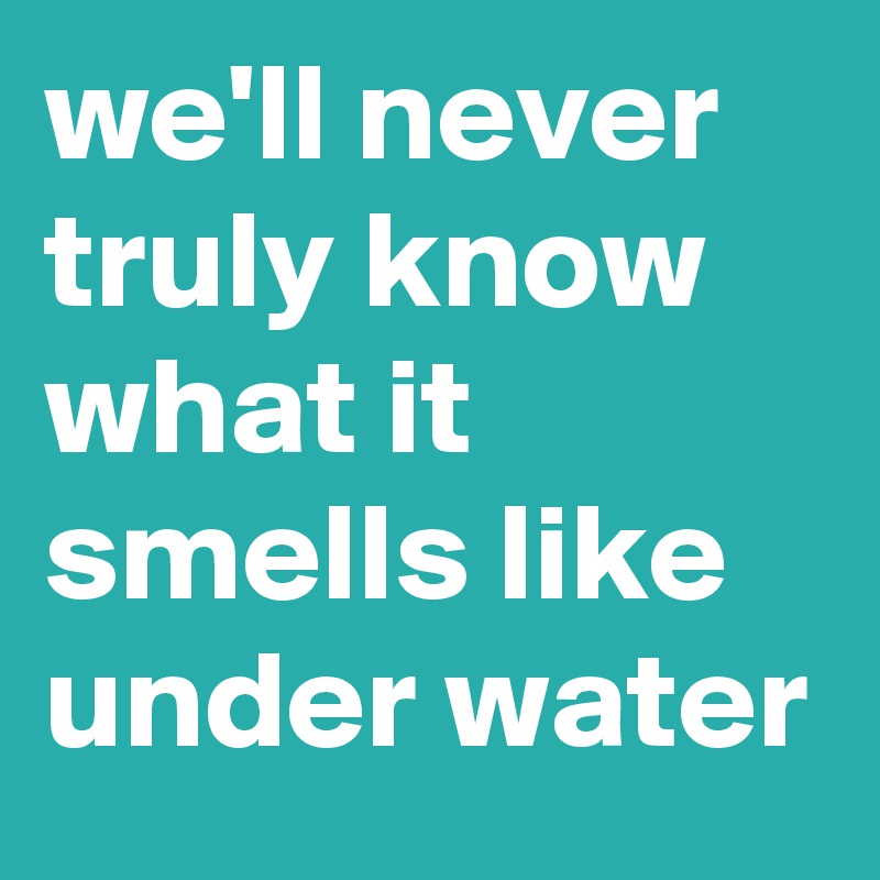 we'll never truly know what it smells like under water