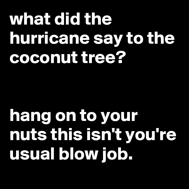 what did the hurricane say to the coconut tree?


hang on to your nuts this isn't you're usual blow job.