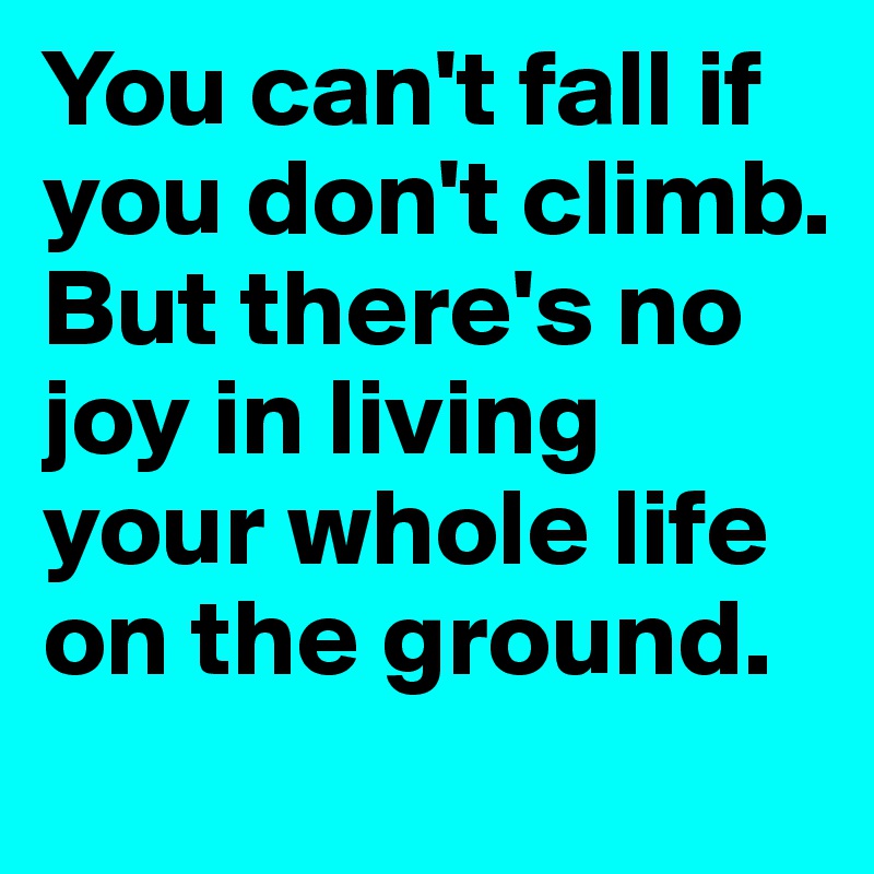 You can't fall if you don't climb. But there's no joy in living your whole life on the ground. 
