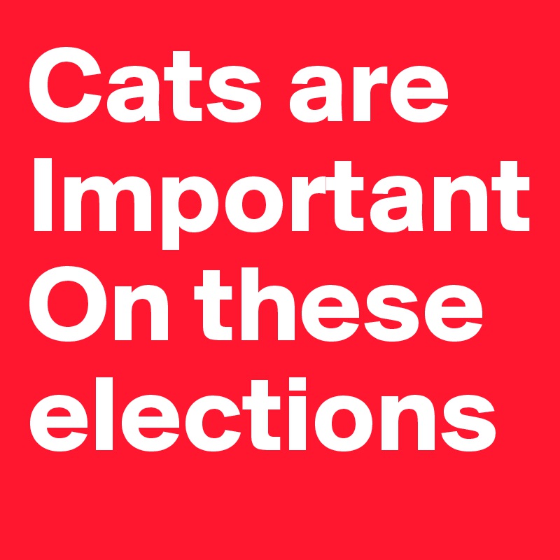 Cats are
Important 
On these elections