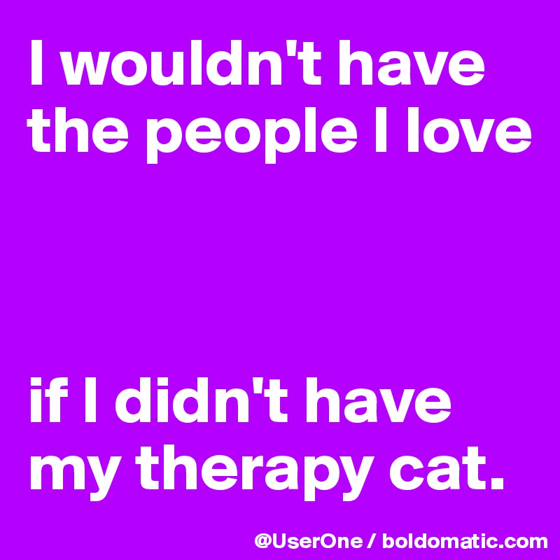 I wouldn't have the people I love



if I didn't have my therapy cat.