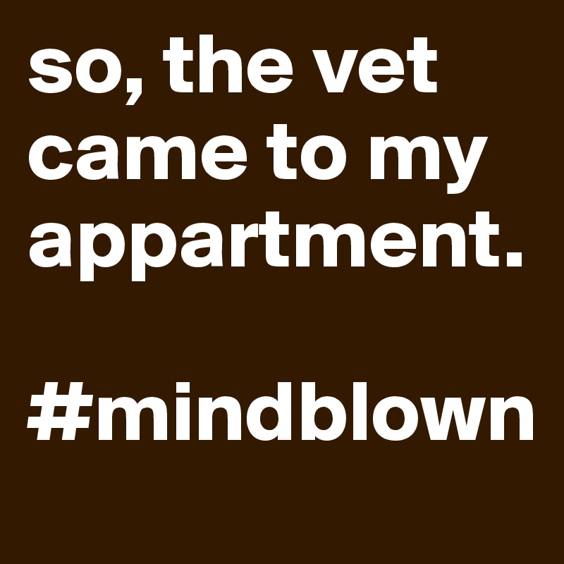 so, the vet came to my appartment.           
 #mindblown 