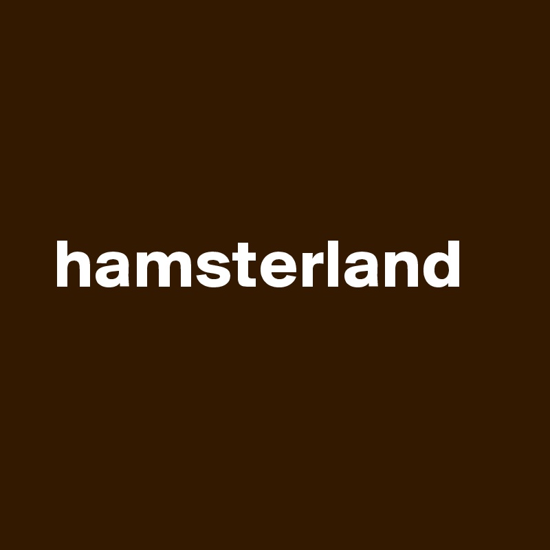 

   
  hamsterland


