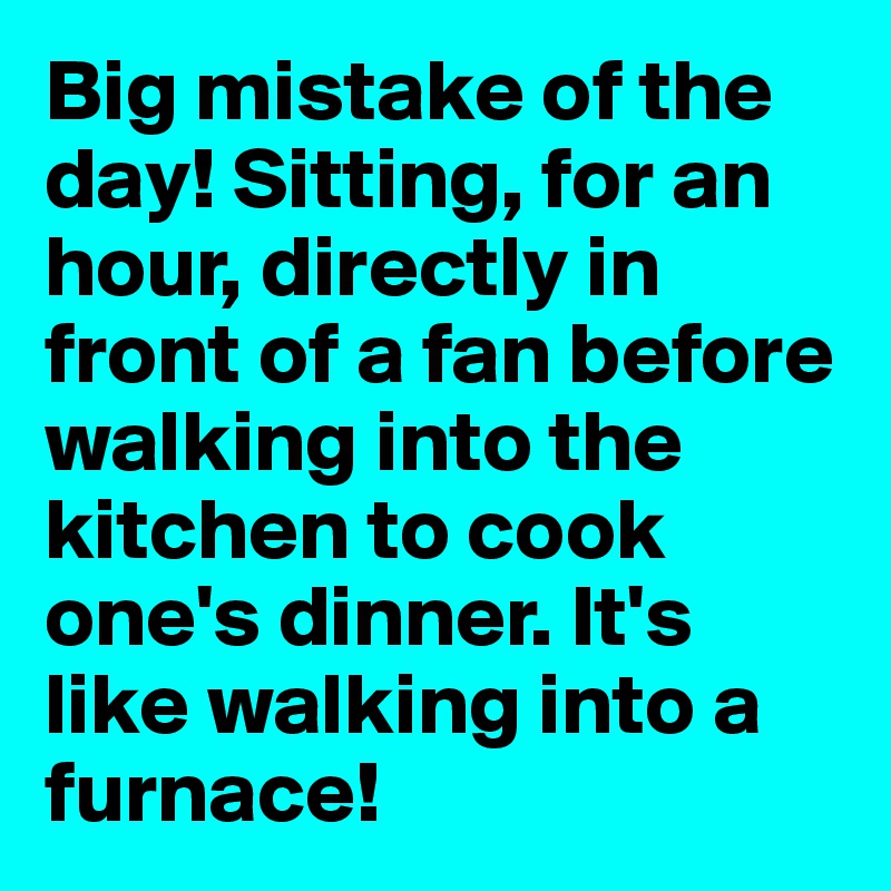 Big mistake of the day! Sitting, for an hour, directly in front of a fan before walking into the kitchen to cook one's dinner. It's like walking into a furnace!