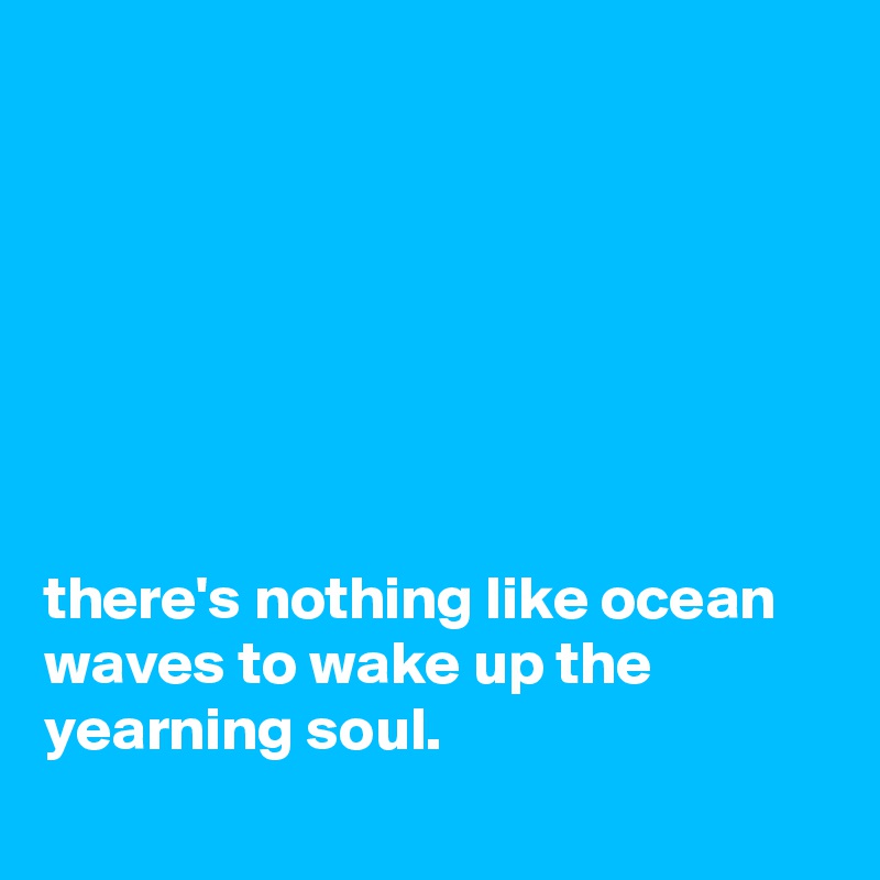 







there's nothing like ocean waves to wake up the yearning soul.
