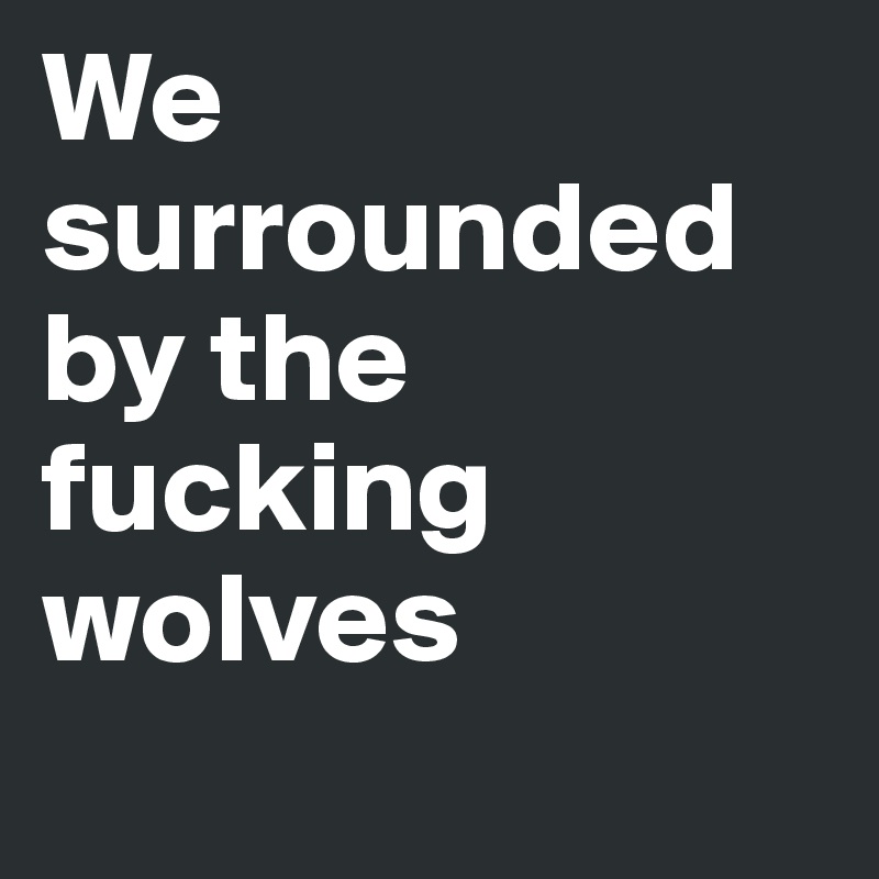 We surrounded by the fucking wolves
