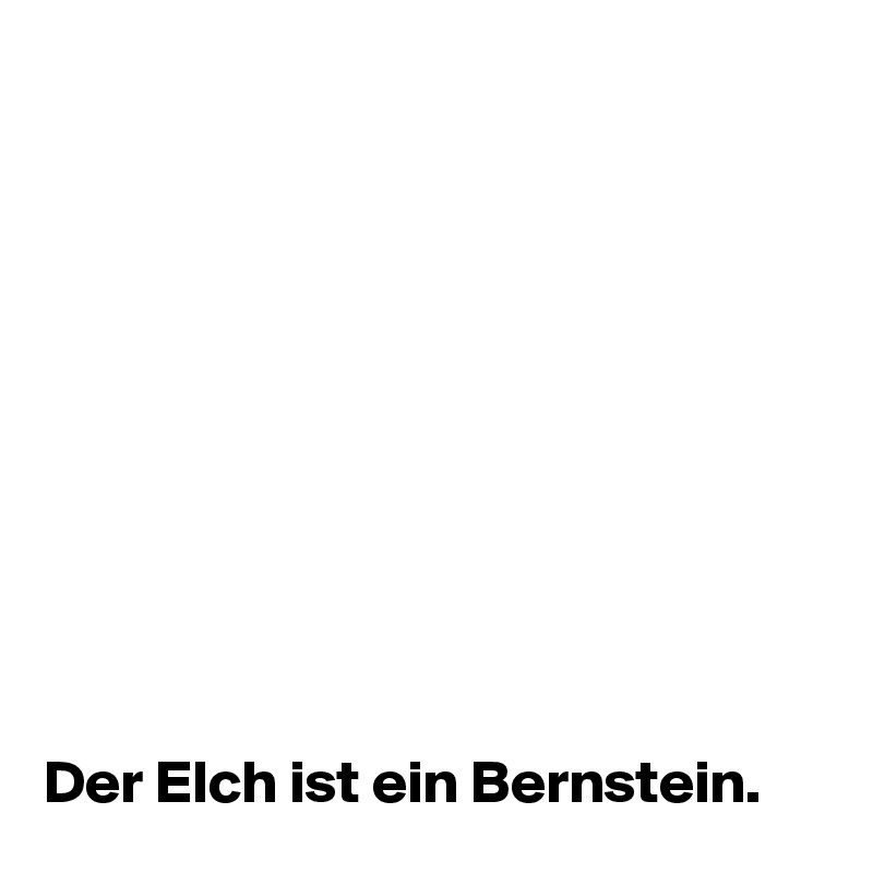 










Der Elch ist ein Bernstein.