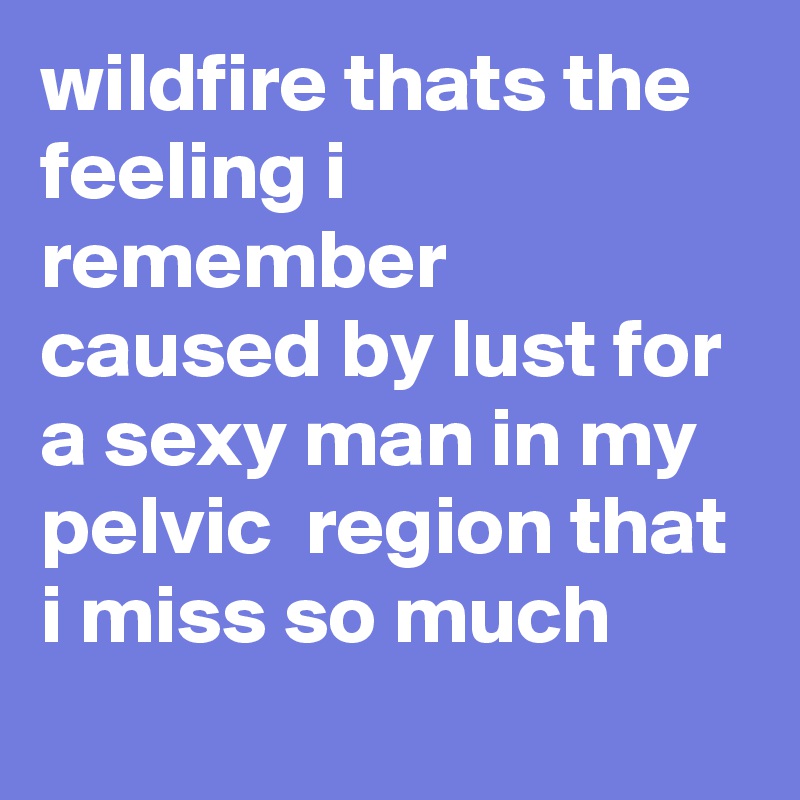 wildfire thats the feeling i remember caused by lust for a sexy man in my pelvic  region that i miss so much 