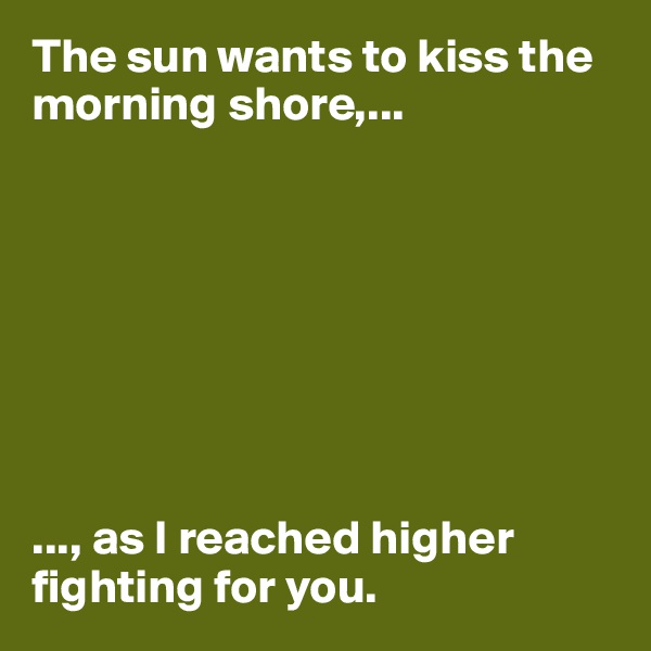 The sun wants to kiss the morning shore,...








..., as I reached higher fighting for you. 