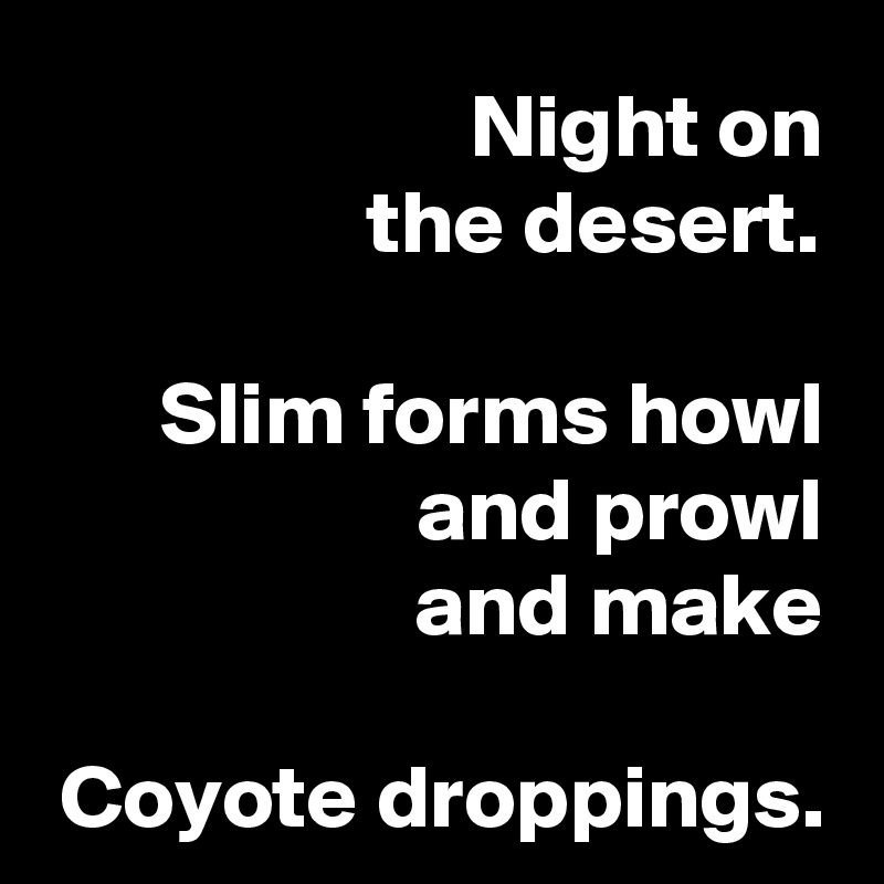 Night on
the desert.

Slim forms howl and prowl
and make

Coyote droppings.
