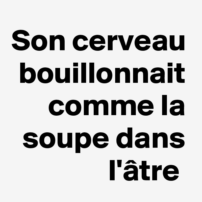 Son cerveau bouillonnait comme la soupe dans l'âtre 