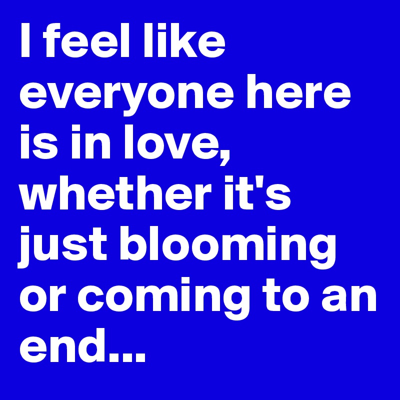 I feel like everyone here is in love, whether it's just blooming or coming to an end...